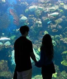 two people are standing in front of an aquarium looking at the fish and corals