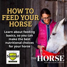 [Image of woman feeding gray horse from red bucket.] Learn about feeding basics, from hydration and forage to feeds and supplements, so you can make the best nutritional choices for your horse. Brought to you by Sentinel Horse Feeds. Muscle Atrophy, Sports Medicine