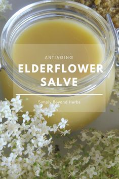 This homemade elderflower salve helps reduce signs of aging, fine lines, wrinkles, and age spots and is specifically made for mature skin. Elderflower Benefits, Medicine Recipes, Skin Care Routine For Teens, Natural Medicines, Anti Aging Homemade, Skincare Recipes, Sambucus Nigra, Skin Care Routine For 20s, Anti Aging Creme