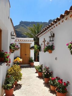 a white building with potted plants and flowers on the outside wall, in front of a wooden door