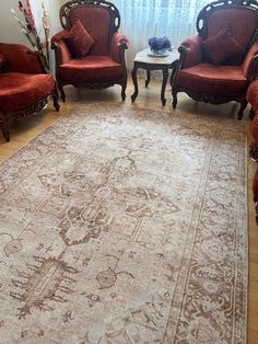 a living room filled with furniture and a large rug