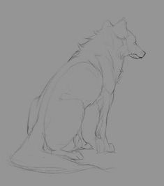 a drawing of a wolf sitting down