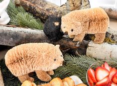 two teddy bears sitting next to each other in front of some strawberries and pine cones