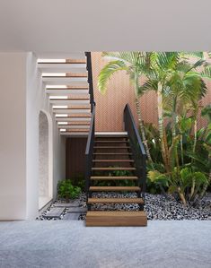 there is a staircase in the middle of this room with plants and rocks on the floor