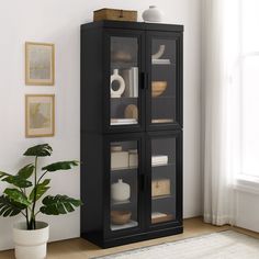 a black cabinet with glass doors in a living room next to a potted plant