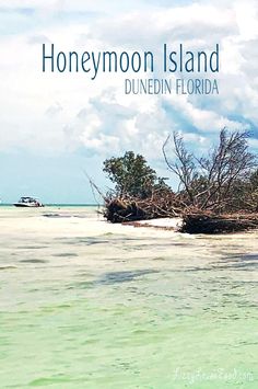 the cover of honeymoon island, with an image of a boat in the water and trees on