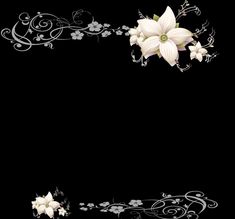 a black background with white flowers and swirls on the edges, including one flower