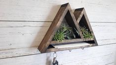 a triangle shaped shelf with air plants hanging from it's sides on a white wooden wall