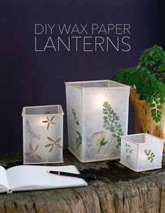 some paper lanterns sitting on top of a table next to a potted plant and an open book