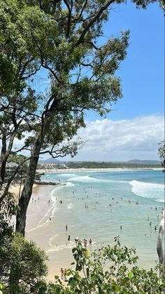 many people are swimming in the ocean near trees