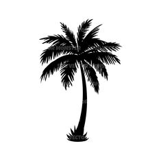 a black and white silhouette of a palm tree