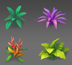 four different types of flowers on a gray background, each with green and purple leaves