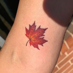 a red maple leaf tattoo on the arm