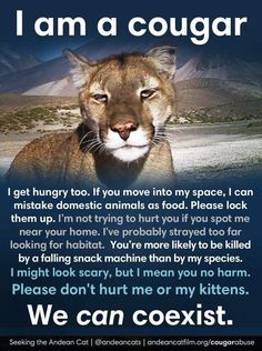 a poster with an image of a cougar on it's face and the words, i am a cougar