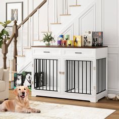 a dog laying on the floor in front of a stair case