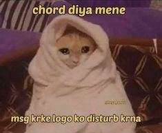 a cat wrapped in a blanket sitting on top of a couch with the caption'chord diya memee '