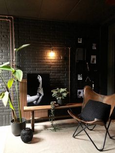 a living room filled with furniture and plants