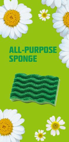 an all purpose sponge with daisies in the middle and green background, surrounded by white flowers