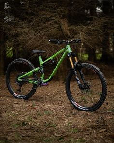 a green mountain bike parked in the woods