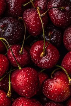 a bunch of cherries with water droplets on them, sitting in a pile next to each other