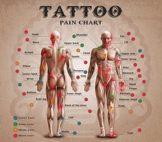 an image of the anatomy of a man's body with labels on each side