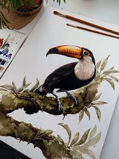 a painting of a toucan perched on a tree branch