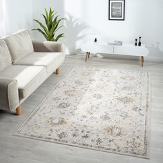 a living room with a couch, rug and plant in the corner on the floor