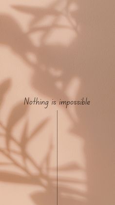 a plant casts a shadow on a wall with the words nothing is impossible above it