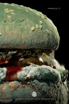 a close up of a large hamburger covered in moldy stuff