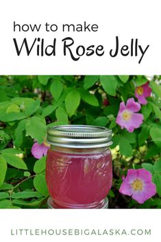 a mason jar filled with wild rose jelly