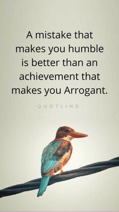 a bird sitting on top of a power line with a quote above it that reads, a mistake that makes you humble is better than an achievement that makes you arrogant