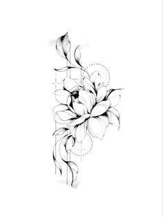 a black and white drawing of flowers on a white background, with lines in the middle