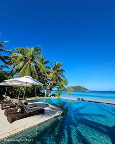 an outdoor swimming pool with lounge chairs and umbrellas next to the ocean, surrounded by palm trees