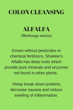 Alfalfa is one of the nine ingredients in Shakee Herb-Lax, a safe, gentle, and natural alternative to promote natural digestive assimilation and elimination.  Herb-Lax has NINE herbs and soluble fiber that have long been used for bowel support, health and cleansing.    See all nine pins to learn about these ingredients that are uniquely blended together.   Visit the link for more about safe, natural, healthy colon cleansing. Overnight Colon Cleanse, Colon Cleansing Foods, Herbal Colon Cleanse, Colon Therapy, Homemade Colon Cleanse, Cleansing Herbs, Colon Cleanse Diet, Healthy Colon, Clean Colon