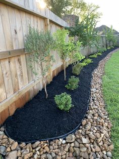 a garden with rocks and trees in the middle, along side a fenced yard