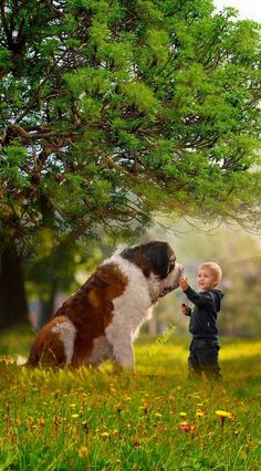 a little boy is playing with a dog in the grass near a tree and some flowers