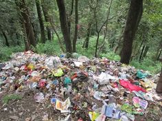 a pile of trash sitting in the middle of a forest