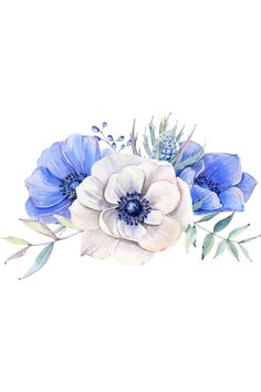 Blue anemones. Голубые анемоны. PNG. Anemone, Baby Pictures, Stud Earrings, Flowers, Blue