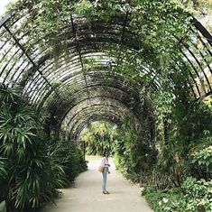 a woman walking down a path in a garden with lots of trees and plants on either side