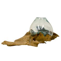 a glass vase sitting on top of a piece of driftwood with water in it