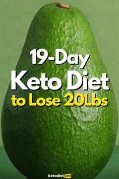 Bear Diet, Reduction Diet, Keto Fast, Keto Menu, Best Diet Plan, Keto Diet Menu, Diet Help, Keto Diet Meal Plan, Keto Diet Plan