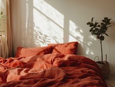 a bed with an orange comforter next to a potted plant