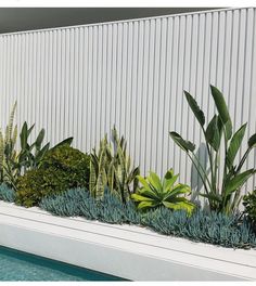 an outdoor swimming pool with plants growing on it