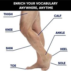 an image of a man's legs with words describing the different parts of his body