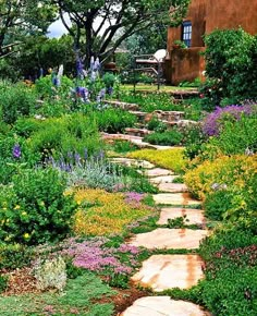 a stone path is surrounded by colorful flowers and greenery in front of a adobe - style building