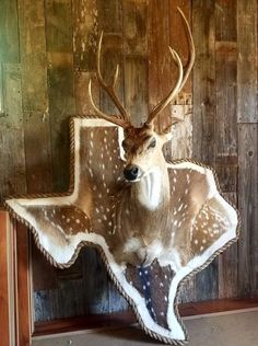 a deer head mounted to the side of a wooden wall with fake antlers on it