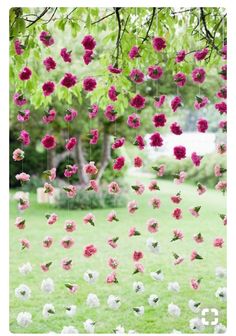 pink and white flowers hanging from the branches of a tree in front of green grass