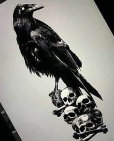 a black bird sitting on top of a pile of skulls next to two human skulls