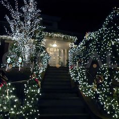 christmas lights on trees and bushes in front of a house with stairs leading up to it