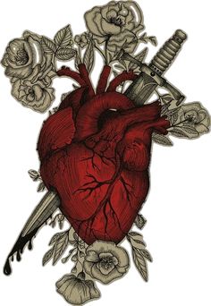 a drawing of a human heart with flowers and dagger on the side, surrounded by roses